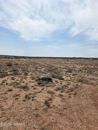 20 Acres of Land for Sale in Snowflake, Arizona