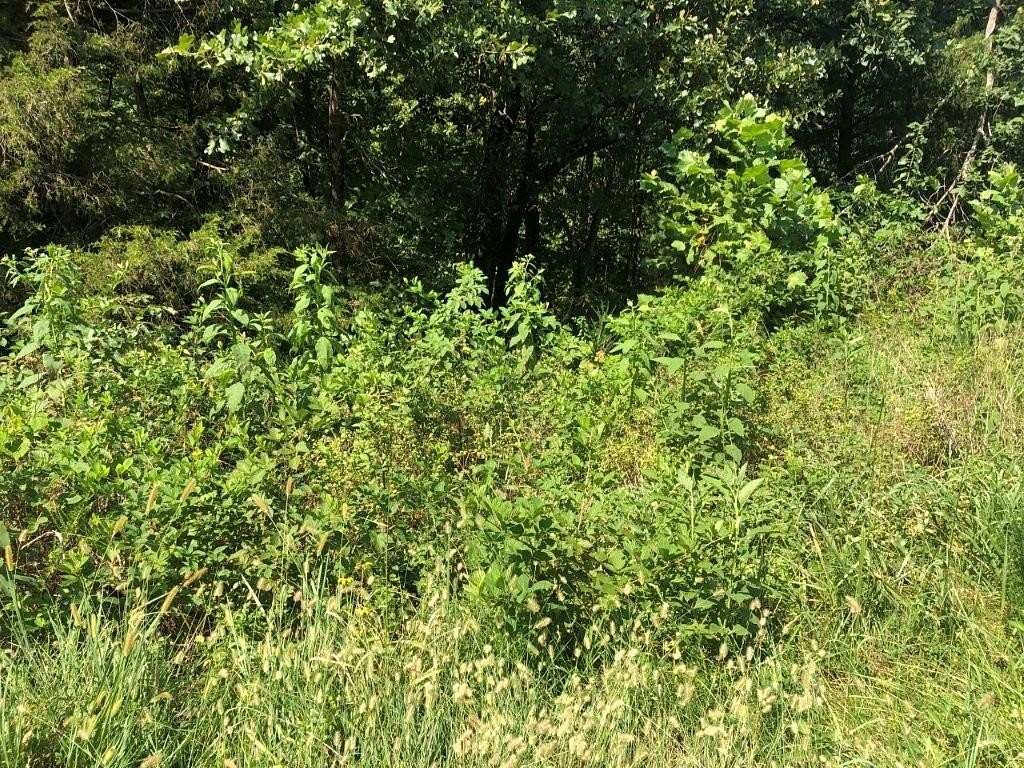 0.27 Acres of Residential Land for Sale in Bella Vista, Arkansas