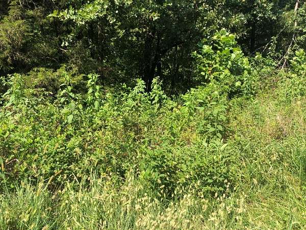 0.27 Acres of Residential Land for Sale in Bella Vista, Arkansas