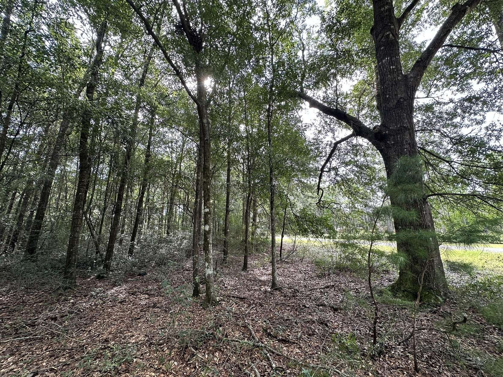 1.66 Acres of Residential Land for Sale in Crestview, Florida