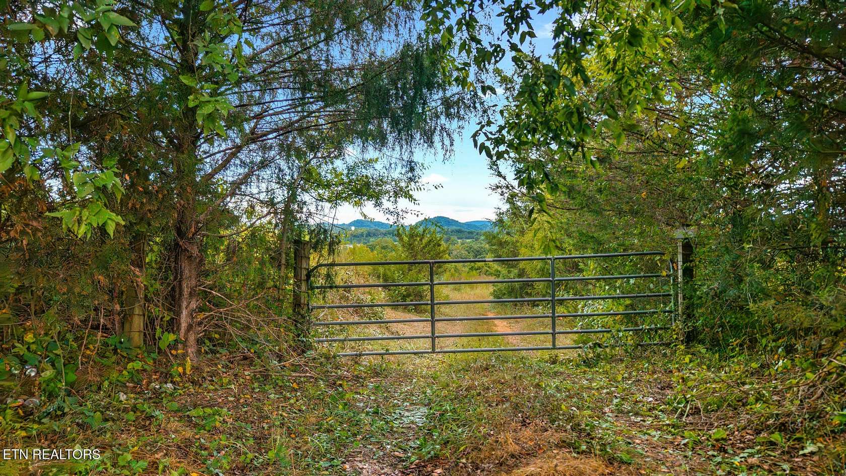 145 Acres of Agricultural Land for Sale in Englewood, Tennessee