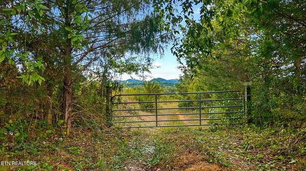 145 Acres of Agricultural Land for Sale in Englewood, Tennessee