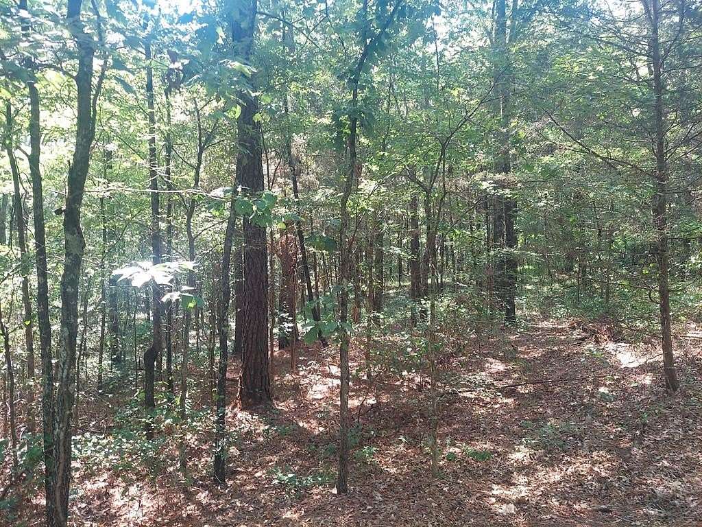 23.7 Acres of Land for Sale in Henry, Tennessee