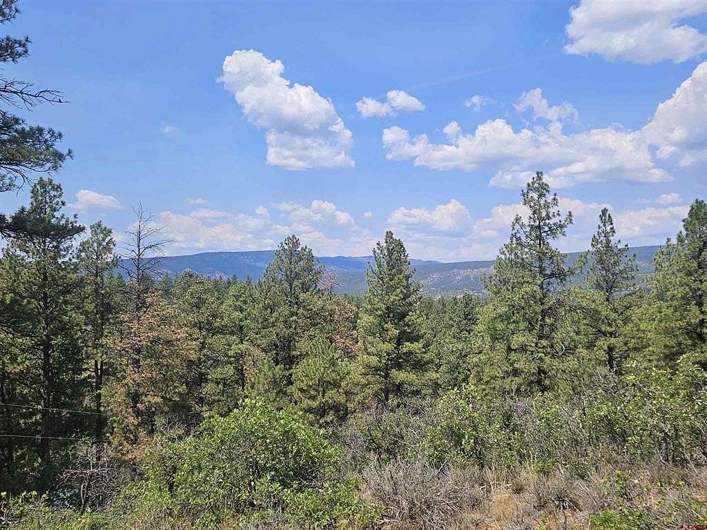 1.1 Acres of Residential Land for Sale in Pagosa Springs, Colorado