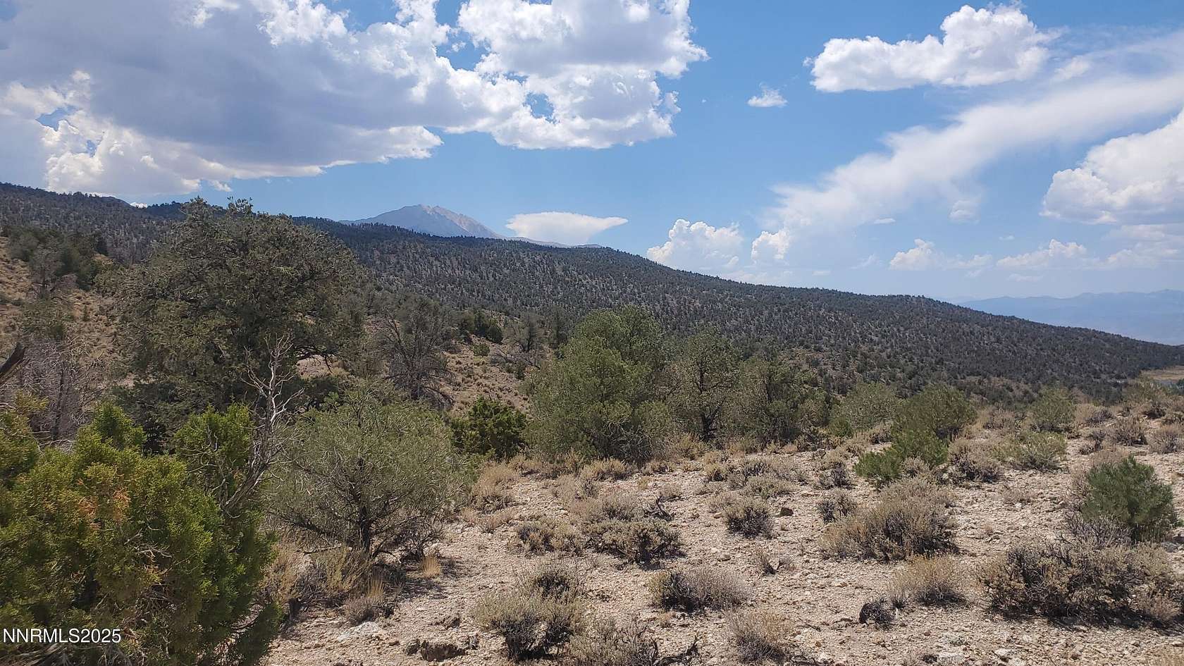 43 Acres of Recreational Land for Sale in Hawthorne, Nevada