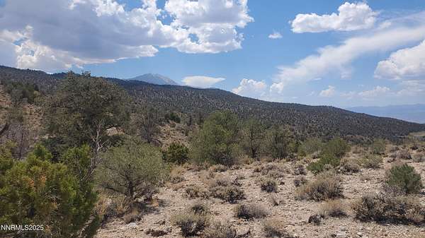 43 Acres of Recreational Land for Sale in Hawthorne, Nevada