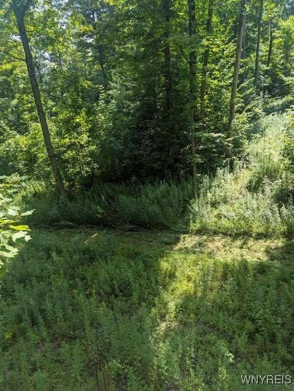 47 Acres of Recreational Land for Sale in Cassadaga, New York
