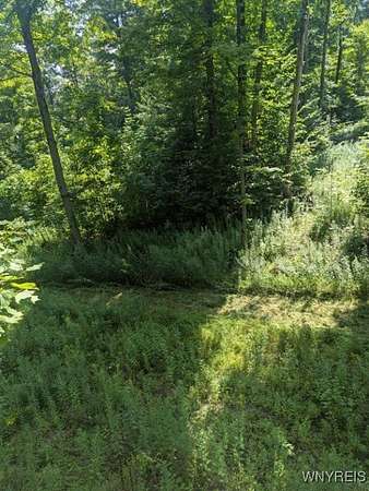 47 Acres of Recreational Land for Sale in Cassadaga, New York