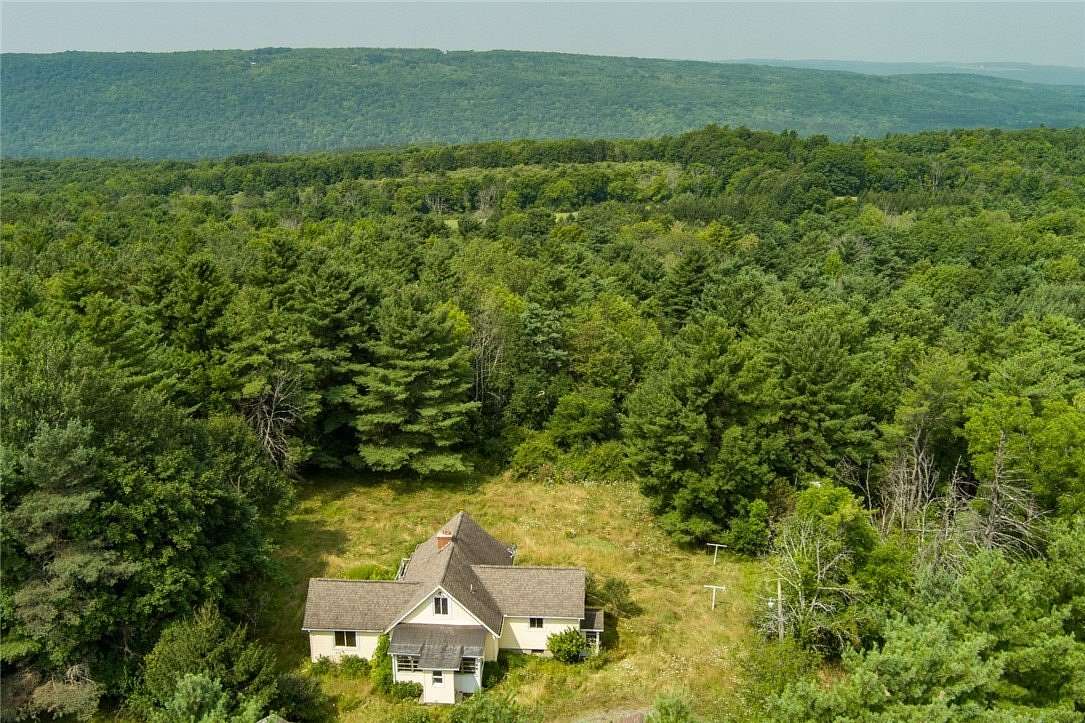12.3 Acres of Land with Home for Sale in Springwater, New York