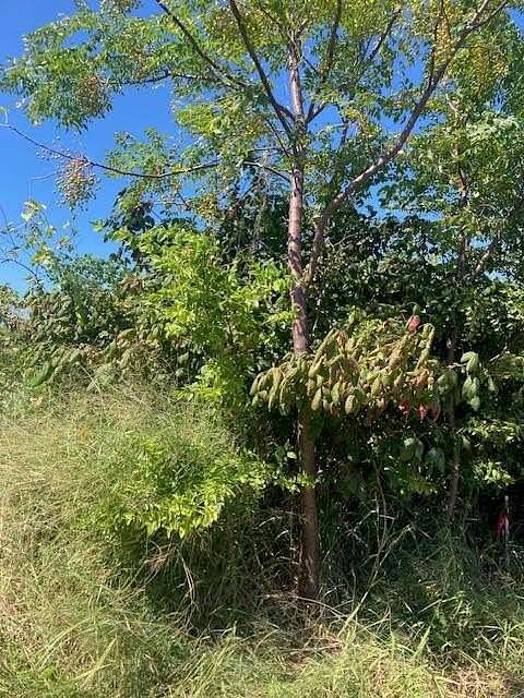 1 Acre of Residential Land for Sale in Rockport, Texas
