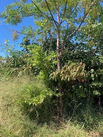 1 Acre of Residential Land for Sale in Rockport, Texas