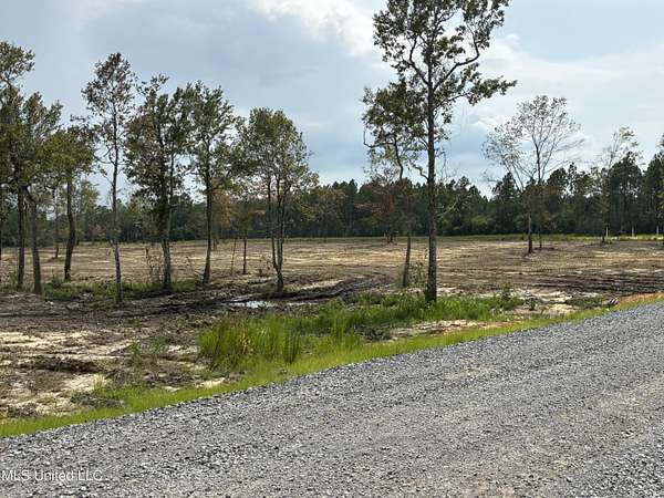 50 Acres of Land for Sale in Kiln, Mississippi