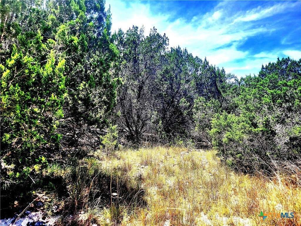 0.9 Acres of Residential Land for Sale in Fischer, Texas