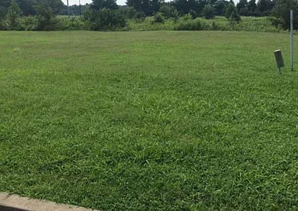 0.2 Acres of Residential Land for Sale in Old Hickory, Tennessee