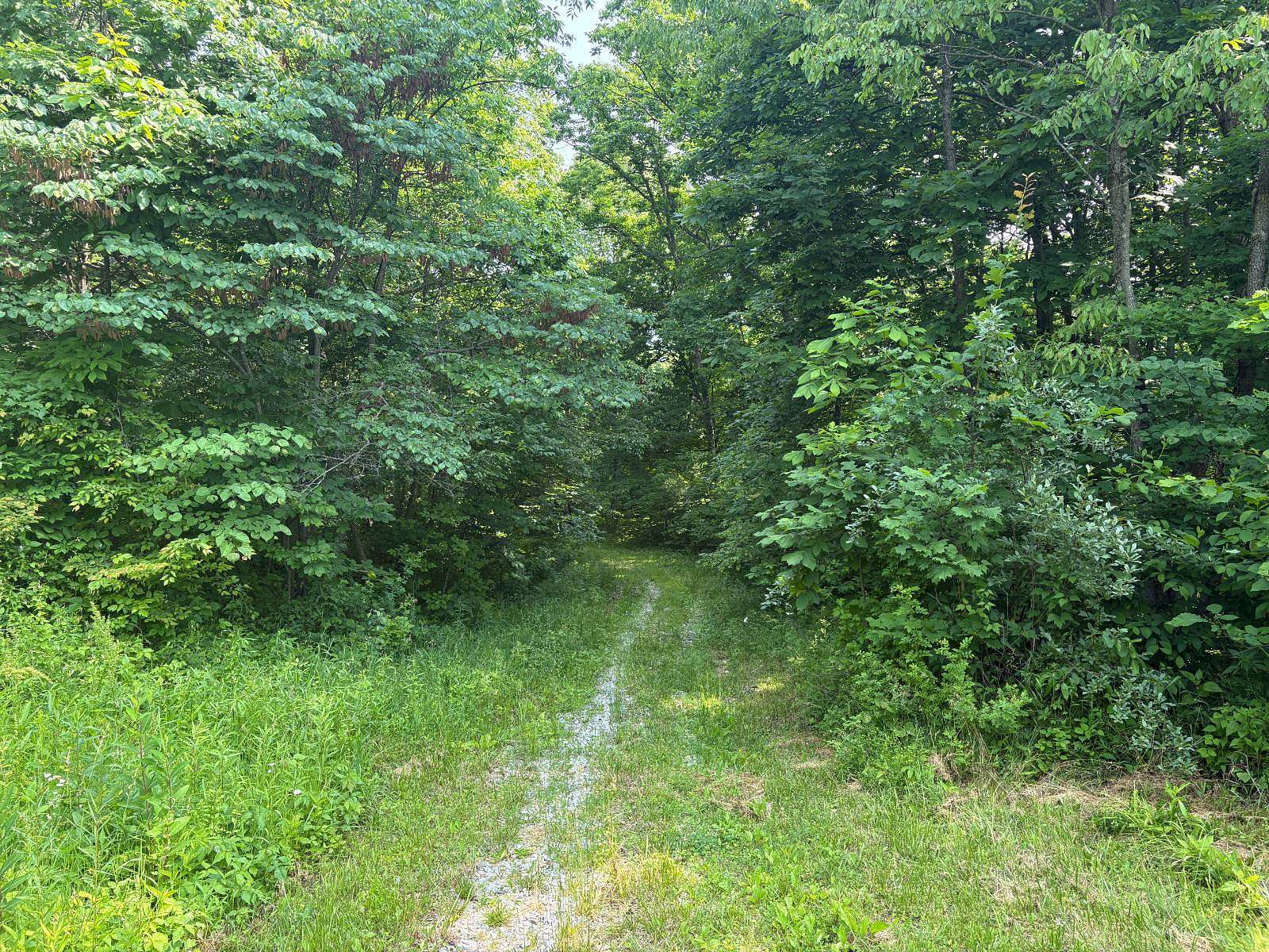 80 Acres of Recreational Land & Farm for Sale in Reelsville, Indiana