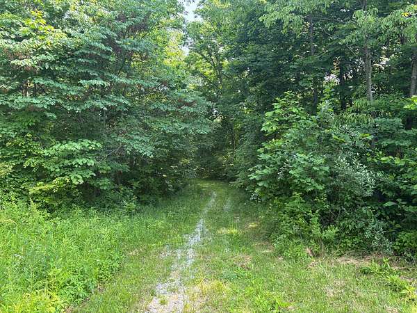 80 Acres of Recreational Land & Farm for Sale in Reelsville, Indiana