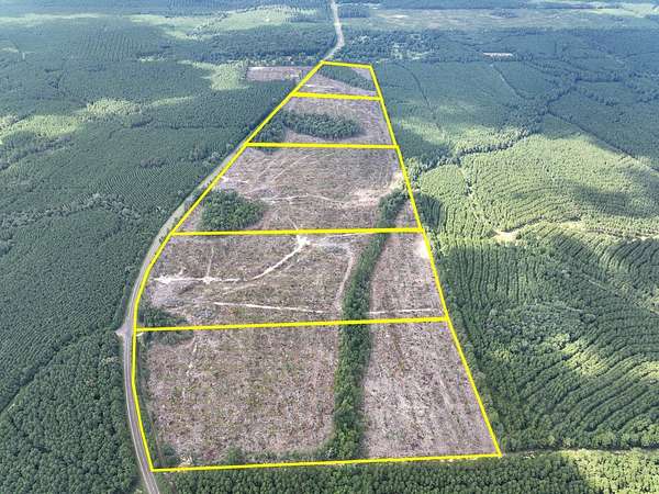 22 Acres of Recreational Land & Farm for Sale in Spurger, Texas