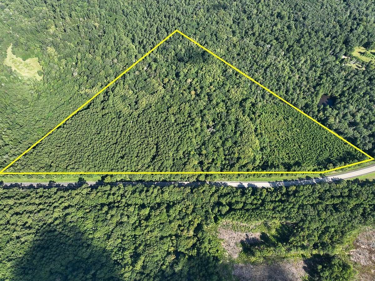 40 Acres of Land for Sale in Hillister, Texas