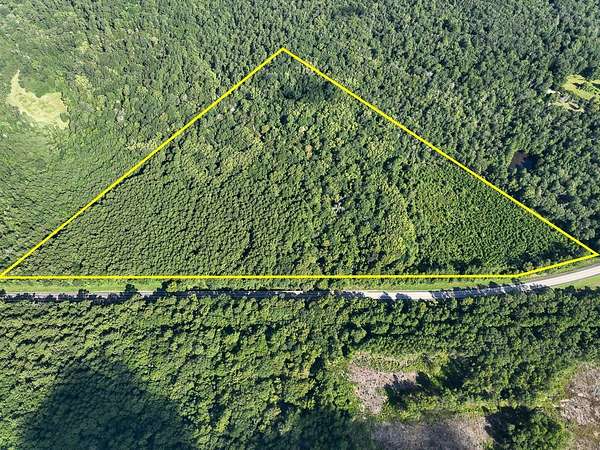 40 Acres of Land for Sale in Hillister, Texas