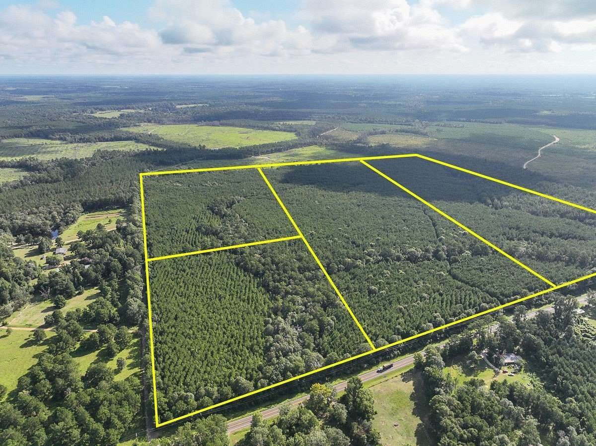 25 Acres of Recreational & Residential Land for Sale in Kirbyville, Texas