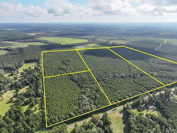 25 Acres of Recreational & Residential Land for Sale in Kirbyville, Texas