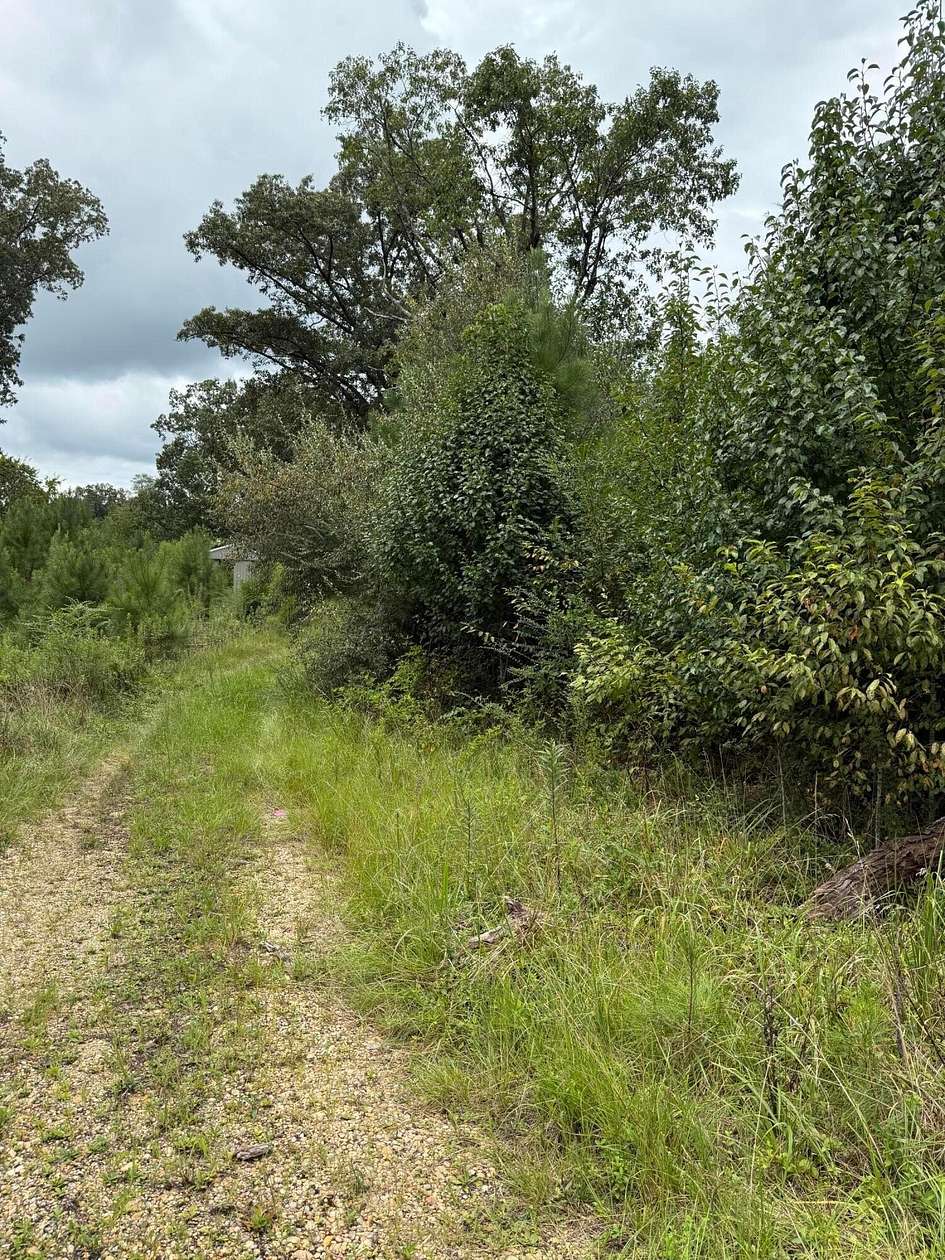 Land for Sale in Double Springs, Alabama