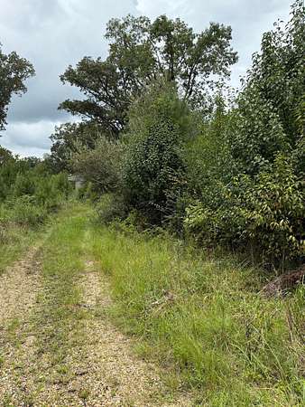 Land for Sale in Double Springs, Alabama