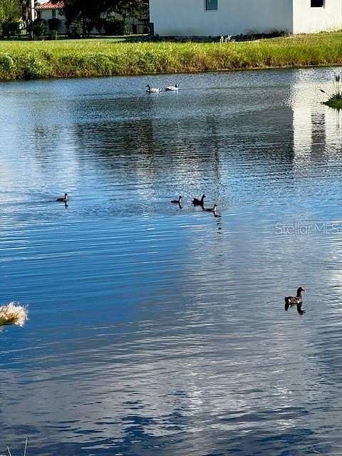 0.23 Acres of Residential Land for Sale in Punta Gorda, Florida