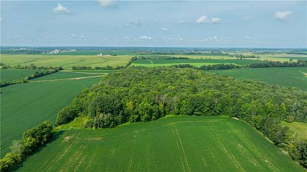 37 Acres of Land for Sale in Glenwood City, Wisconsin