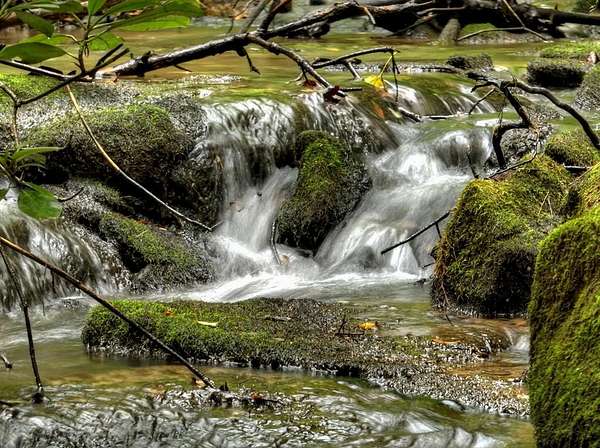 3.4 Acres of Land for Sale in Mineral Bluff, Georgia