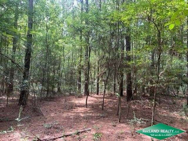 18.4 Acres of Land for Sale in Heflin, Louisiana