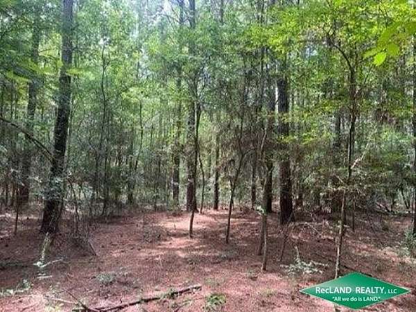 18.4 Acres of Land for Sale in Heflin, Louisiana