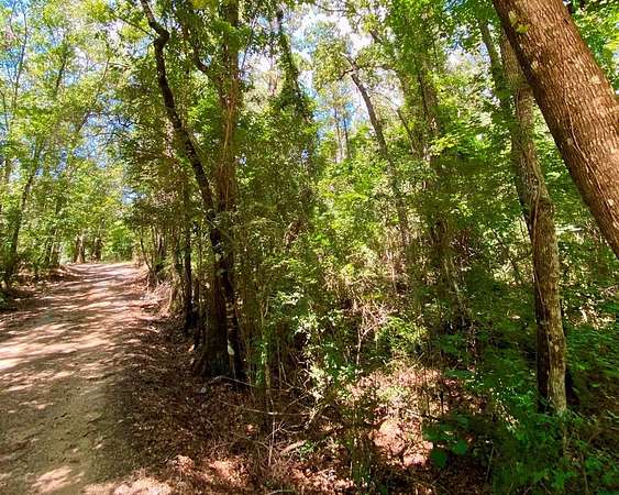 2.5 Acres of Residential Land for Sale in Picayune, Mississippi