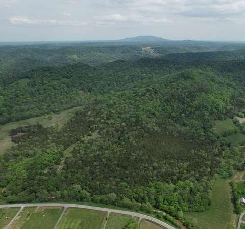 120 Acres of Land for Sale in Auburntown, Tennessee