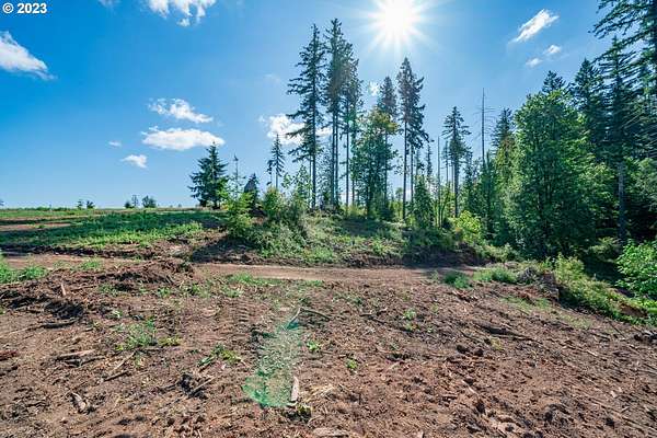 2 Acres of Residential Land for Sale in Castle Rock, Washington