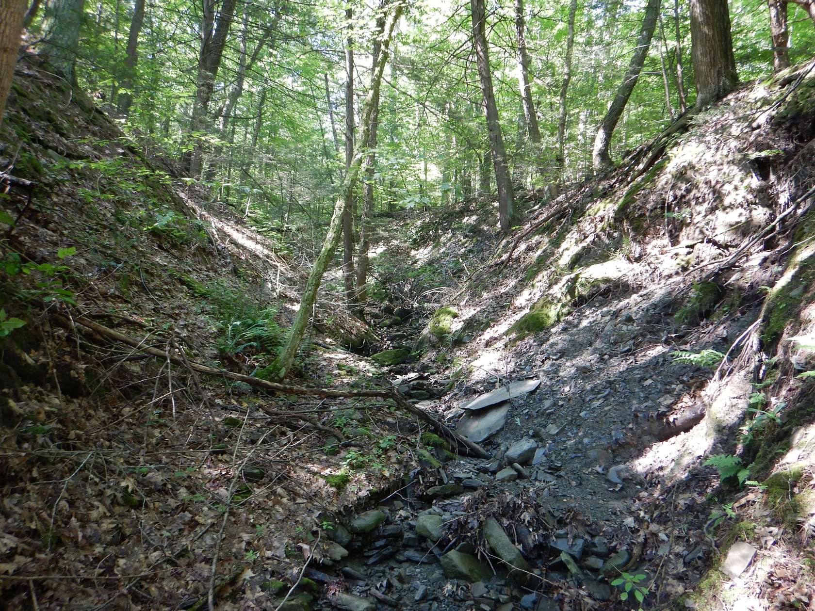 45 Acres of Recreational Land for Sale in Newfield, New York