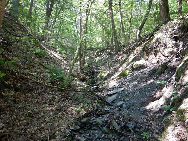 45 Acres of Recreational Land for Sale in Newfield, New York