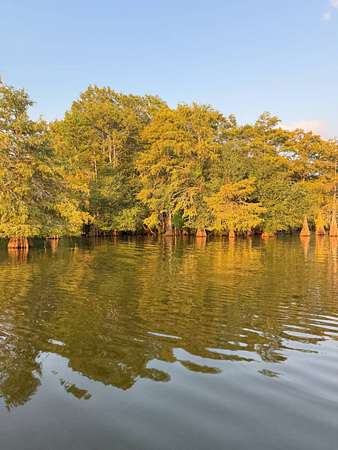 6.46 Acres of Land for Sale in Many, Louisiana