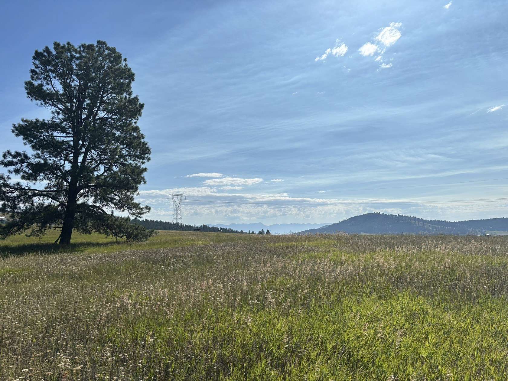 5 Acres of Residential Land for Sale in Kalispell, Montana