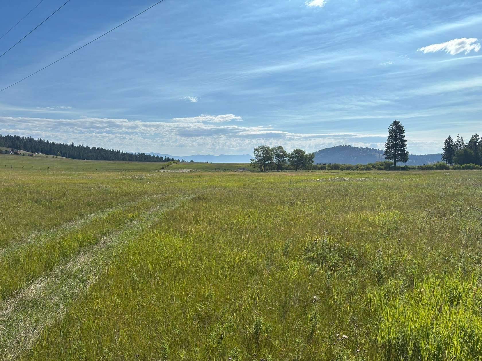 5 Acres of Residential Land for Sale in Kalispell, Montana