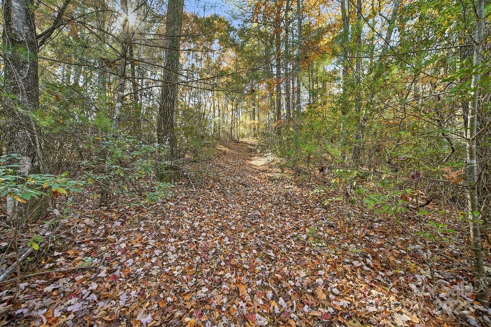 78.7 Acres of Recreational Land for Sale in Lenoir, North Carolina