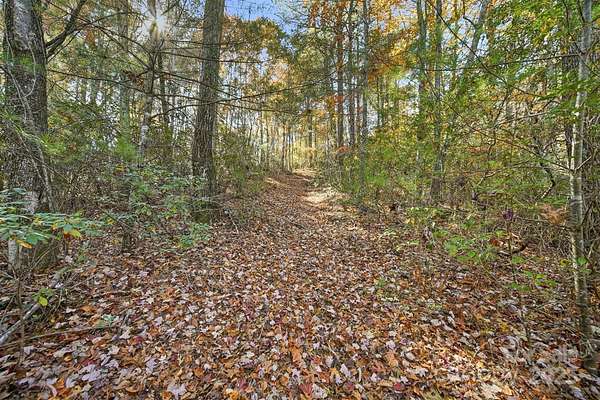 78.7 Acres of Recreational Land for Sale in Lenoir, North Carolina