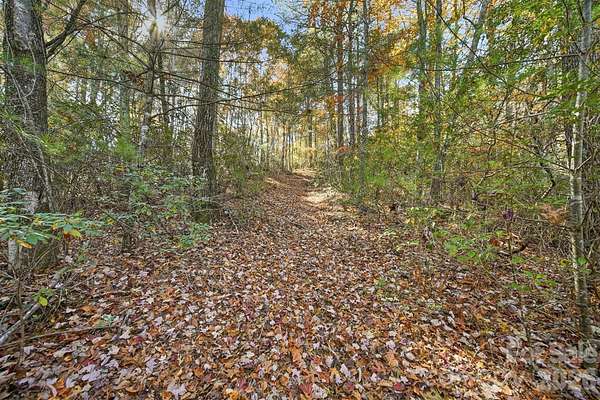 84.7 Acres of Recreational & Residential Land for Sale in Lenoir, North Carolina