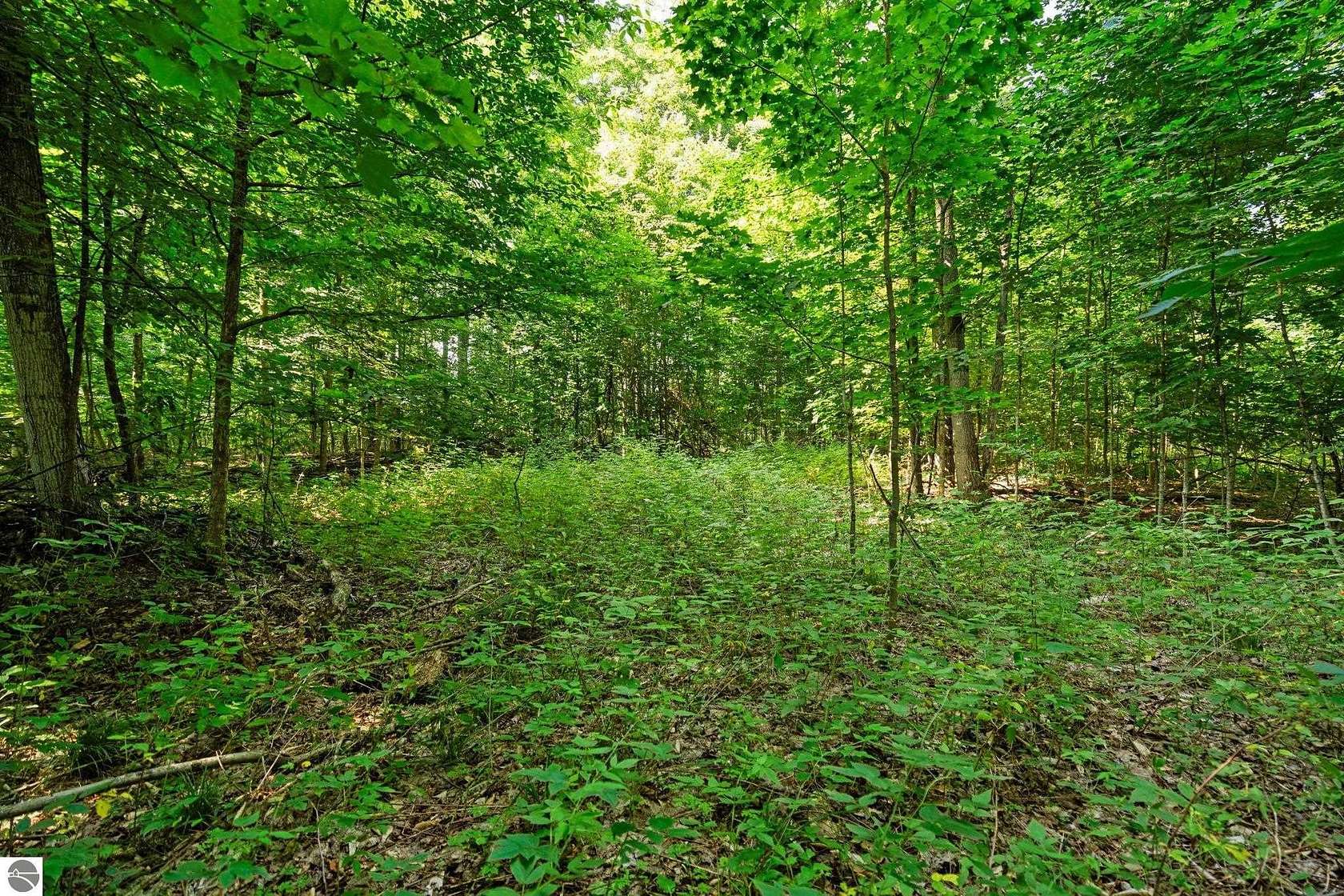 10.8 Acres of Land for Sale in Grawn, Michigan