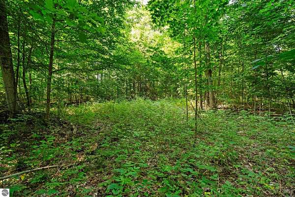 10.8 Acres of Land for Sale in Grawn, Michigan
