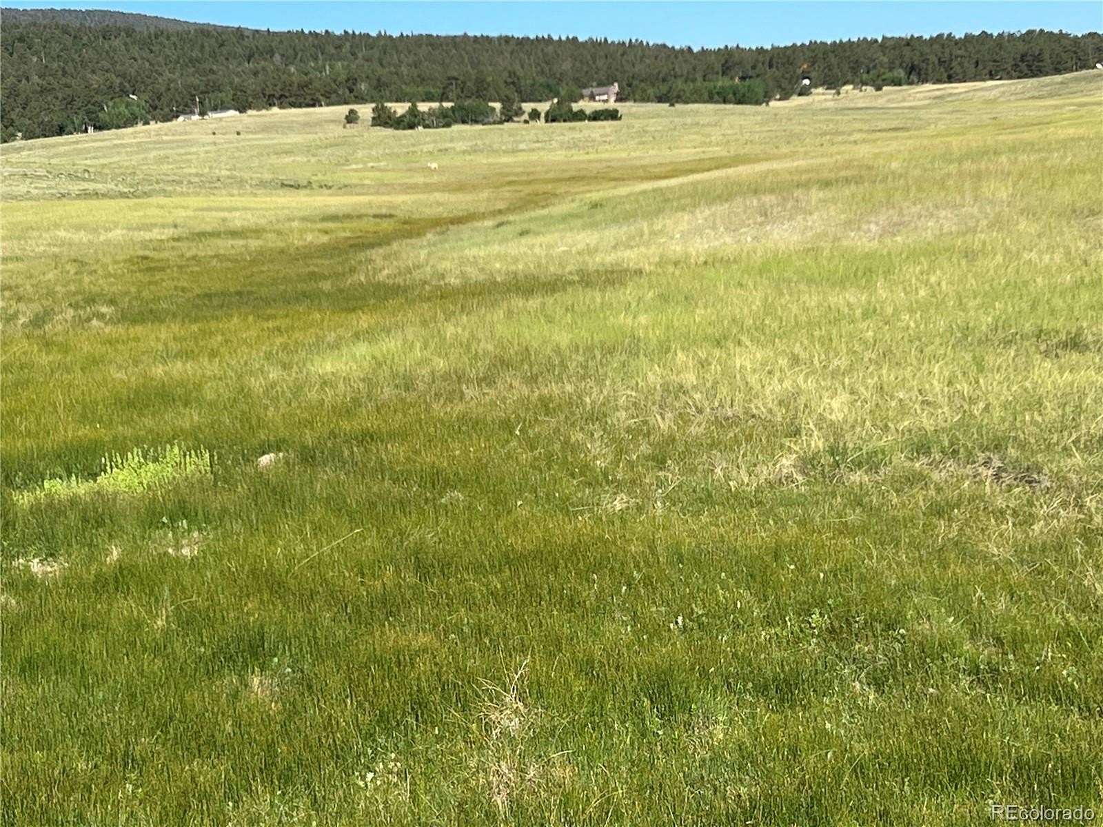 36.1 Acres of Recreational Land & Farm for Sale in Hartsel, Colorado
