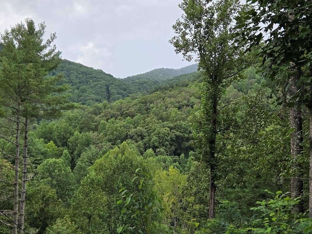 1.13 Acres of Residential Land for Sale in Franklin, North Carolina