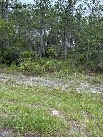1 Acre of Residential Land for Sale in Hortense, Georgia
