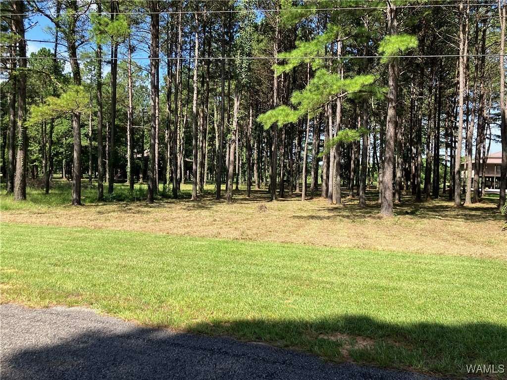 1.36 Acres of Residential Land for Sale in Akron, Alabama