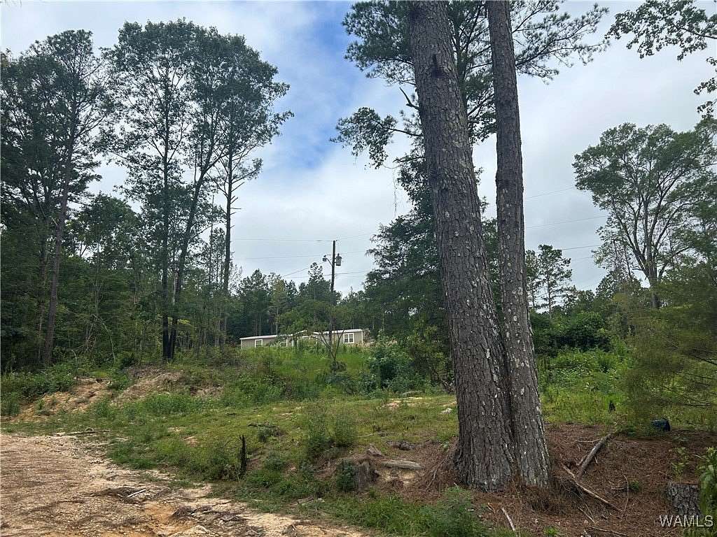 11 Acres of Land with Home for Sale in Fayette, Alabama